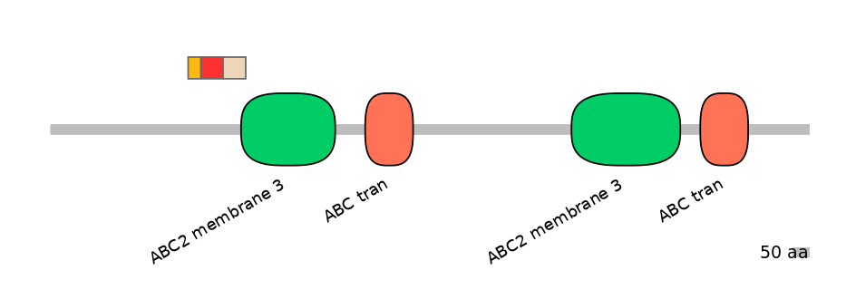 BtaEX6016520-INC