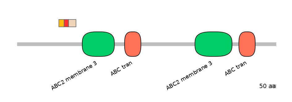 BtaEX6016521-INC