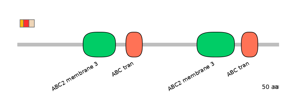 BtaEX6016528-INC