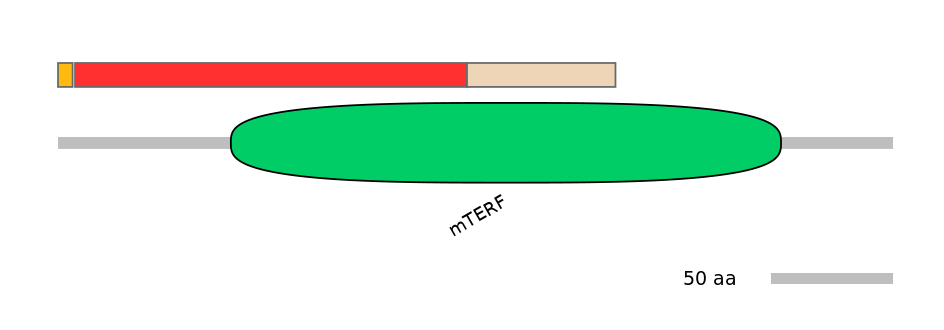 BtaEX6019582-INC