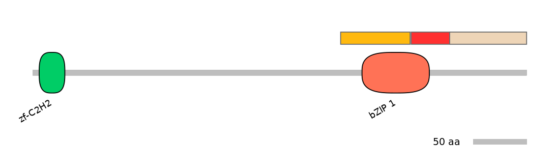 BtaEX6020296-INC