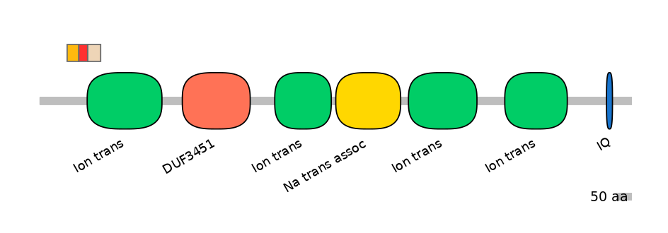 BtaEX6020609-INC