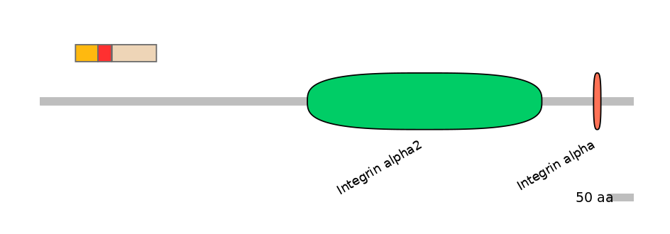 BtaEX6022448-INC