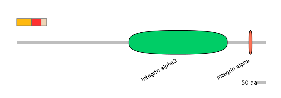 BtaEX6022449-INC