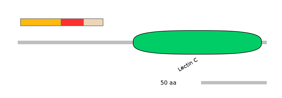 BtaEX6023987-INC
