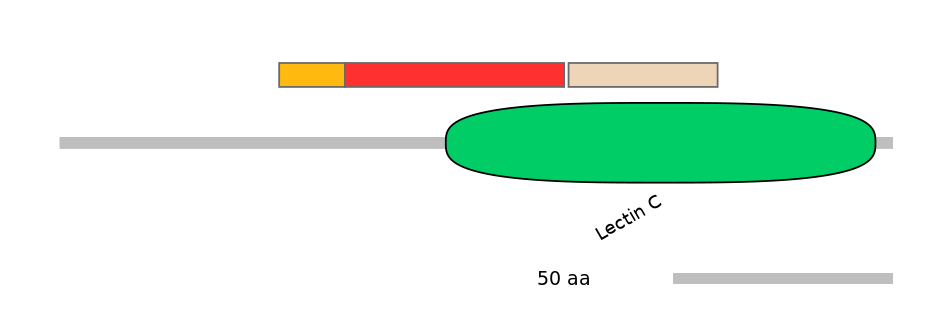 BtaEX6023989-INC