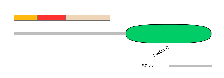 BtaEX6024027-INC