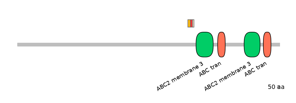 BtaEX6026048-INC