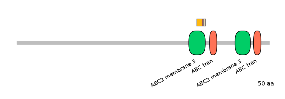 BtaEX6026054-INC