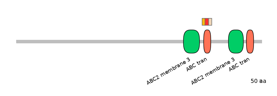 BtaEX6026058-INC