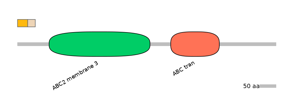 BtaEX6026065-EXC
