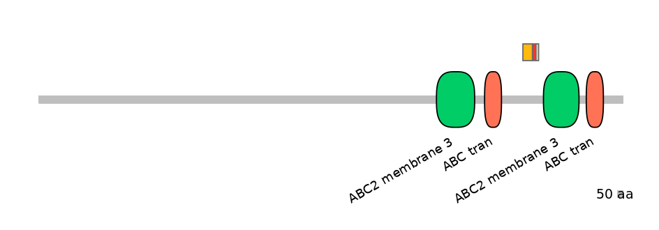 BtaEX6026065-INC