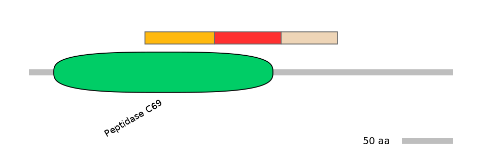 BtaEX6027743-INC