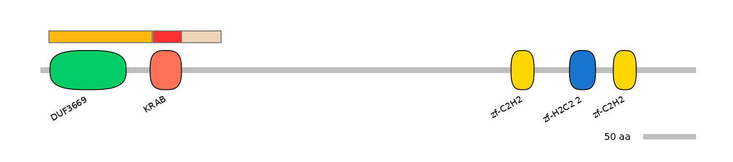 BtaEX6029349-INC
