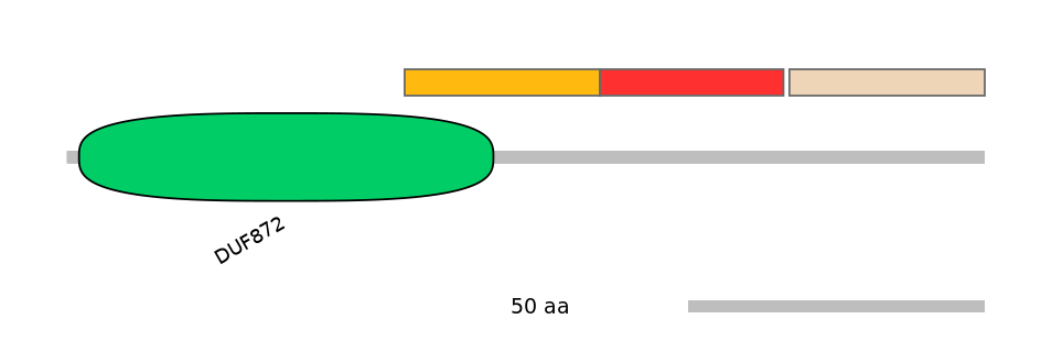 BtaEX6029687-INC