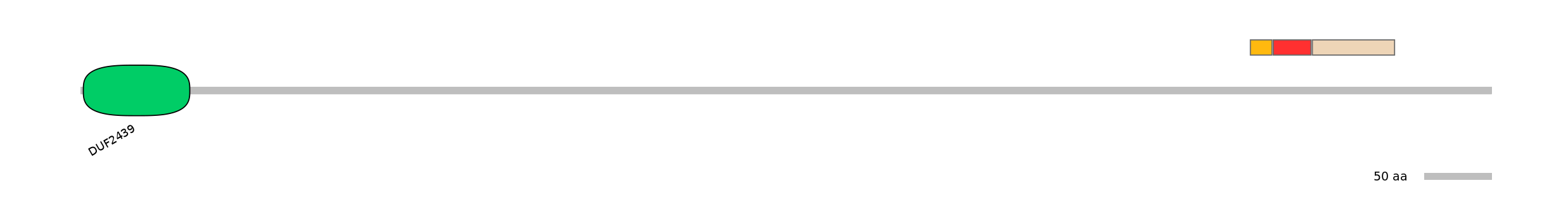 BtaEX6030017-INC