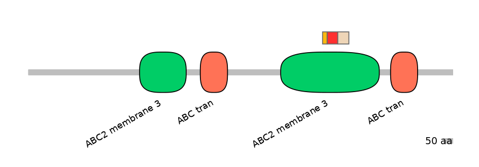 BtaEX6035696-INC
