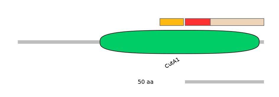 BtaEX6036244-INC
