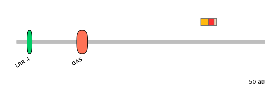 BtaEX6036297-INC