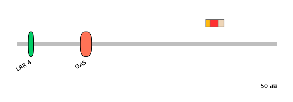 BtaEX6036298-INC