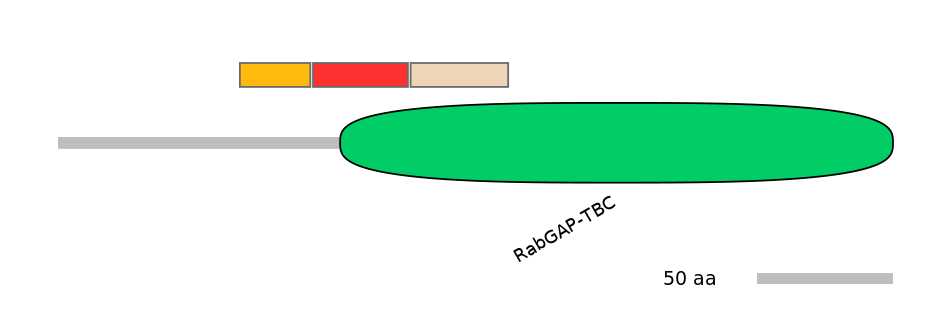 BtaEX6038097-INC
