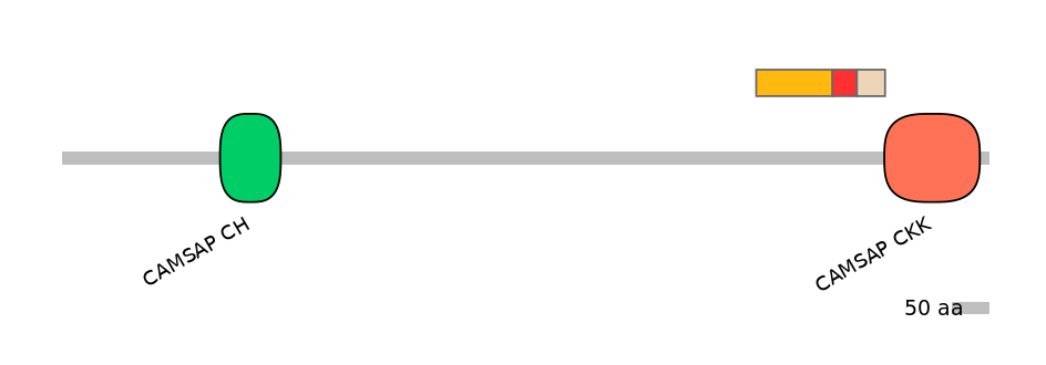 BtaEX6038353-INC
