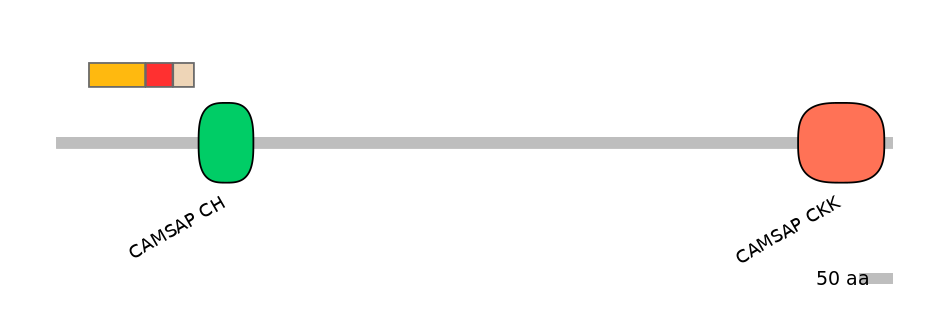 BtaEX6038362-INC