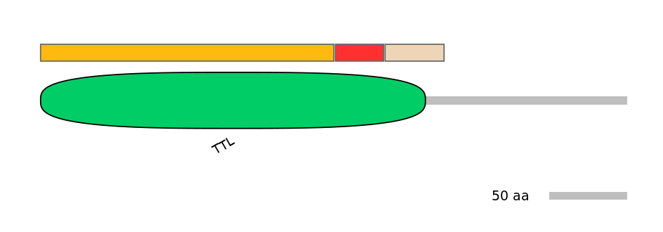 BtaEX6045980-INC