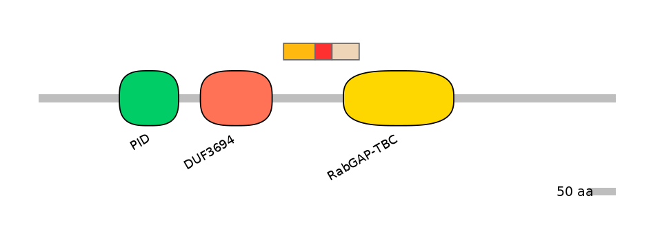 BtaEX6046028-INC