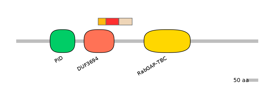 BtaEX6046029-INC