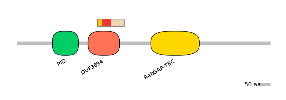 BtaEX6046030-INC