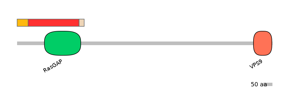 BtaEX6046170-INC