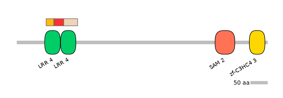 BtaEX6046240-INC
