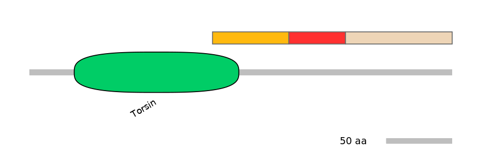 BtaEX6046282-INC