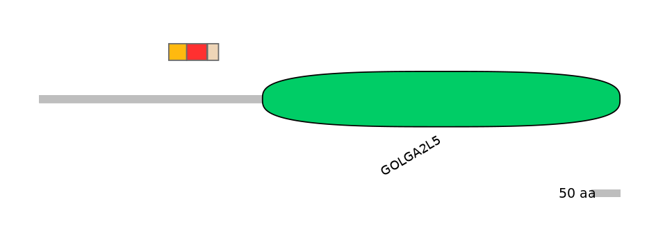 BtaEX6046371-INC