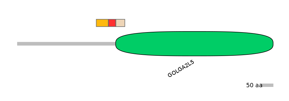 BtaEX6046374-INC