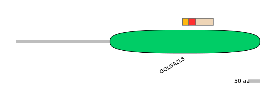 BtaEX6046381-INC