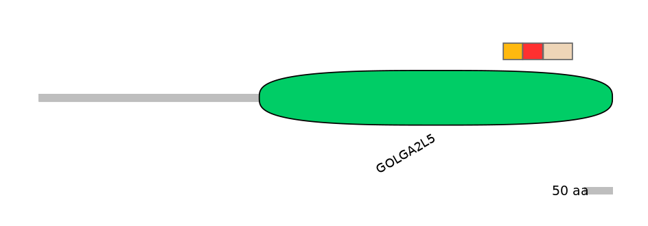BtaEX6046384-INC