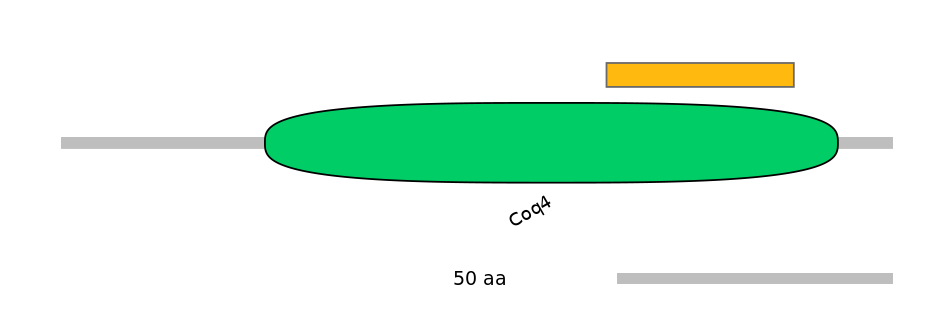 BtaEX6046393-EXC