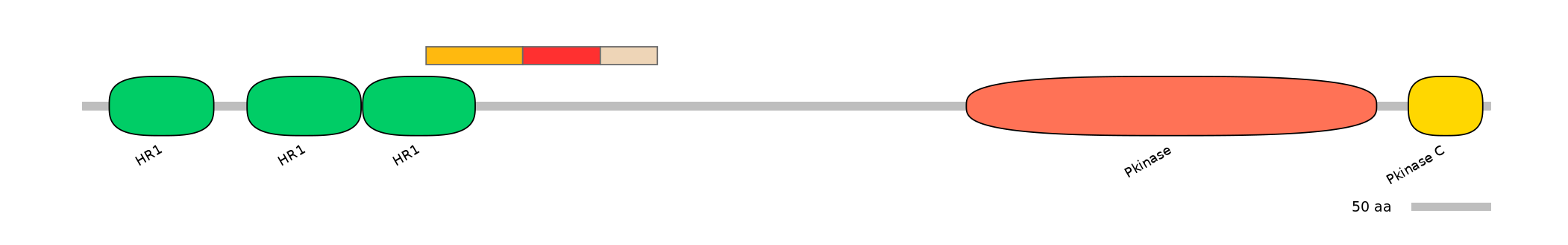 BtaEX6046505-INC