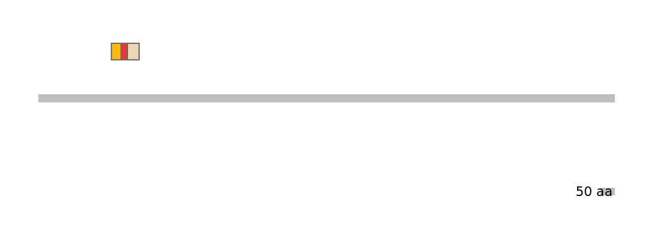 BtaEX6046874-INC
