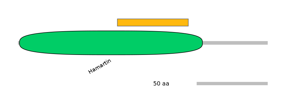 BtaEX6047007-EXC