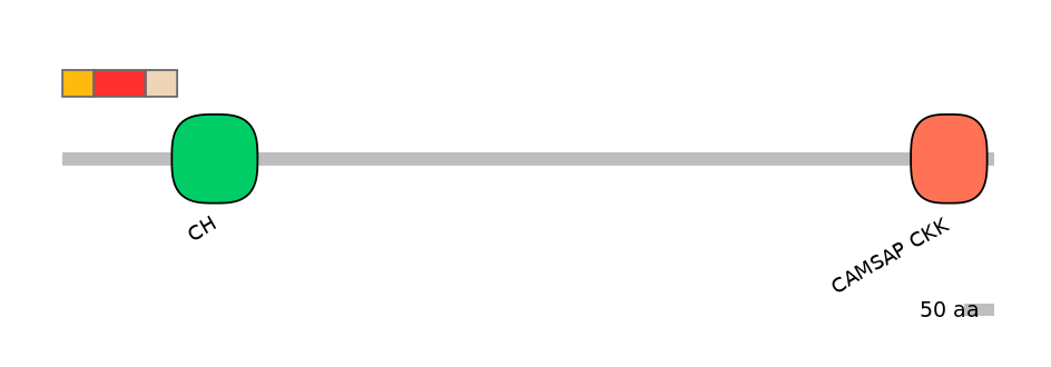 BtaEX6047102-INC