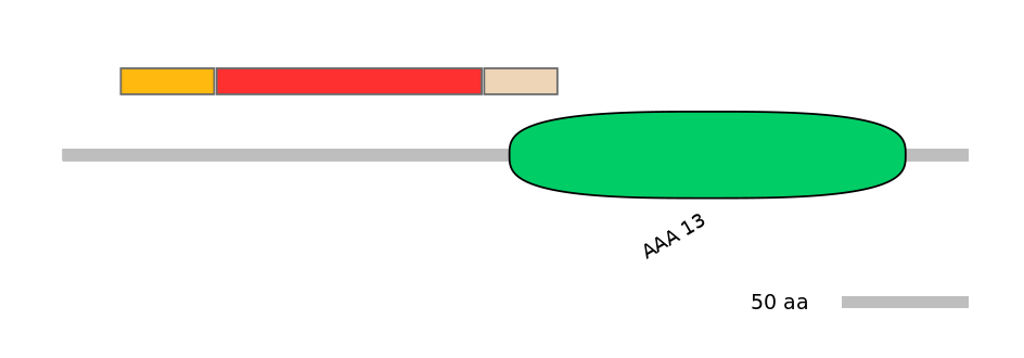 BtaEX6047181-INC