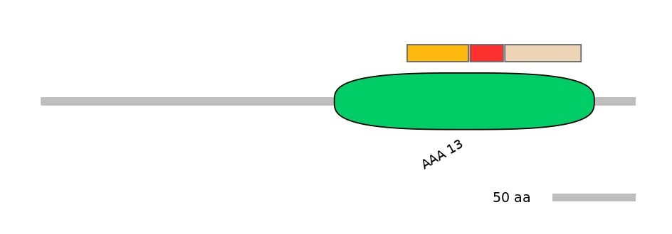 BtaEX6047185-INC