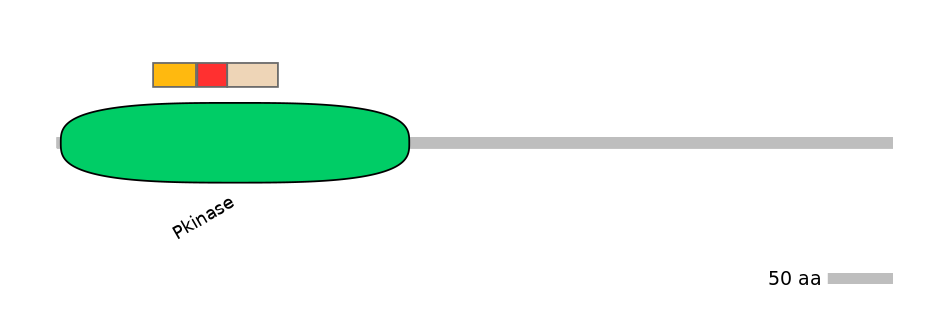 BtaEX6047298-INC