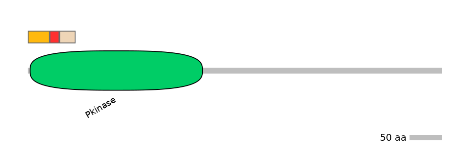 BtaEX6047301-INC