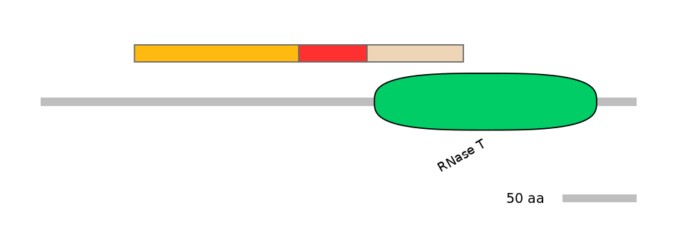 BtaEX6047303-INC