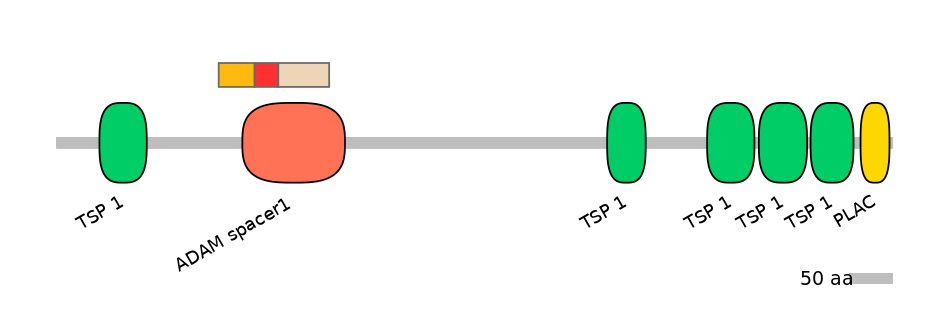 BtaEX6047347-INC