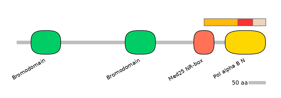 BtaEX6047400-INC